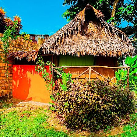 Otorongo Guest House Iquitos Exterior photo